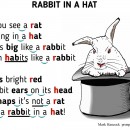Rabbit in a Hat - hancockmcdonald.com/node/616/edit